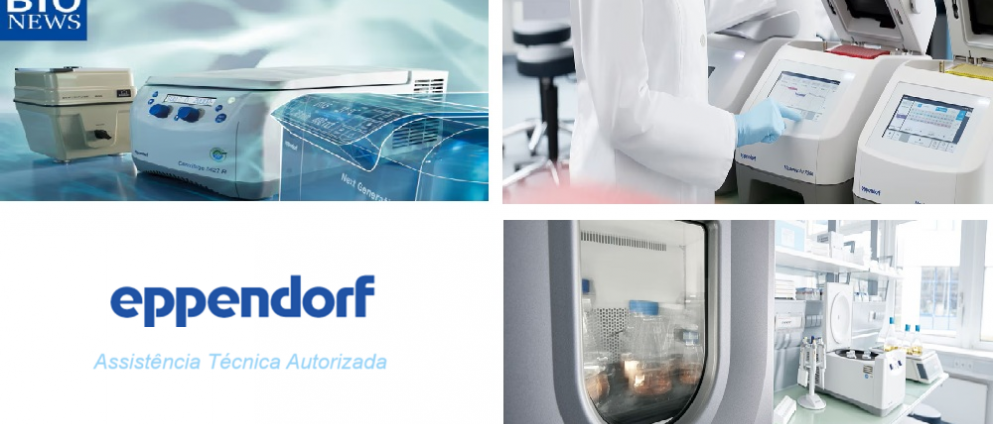 Eppendorf